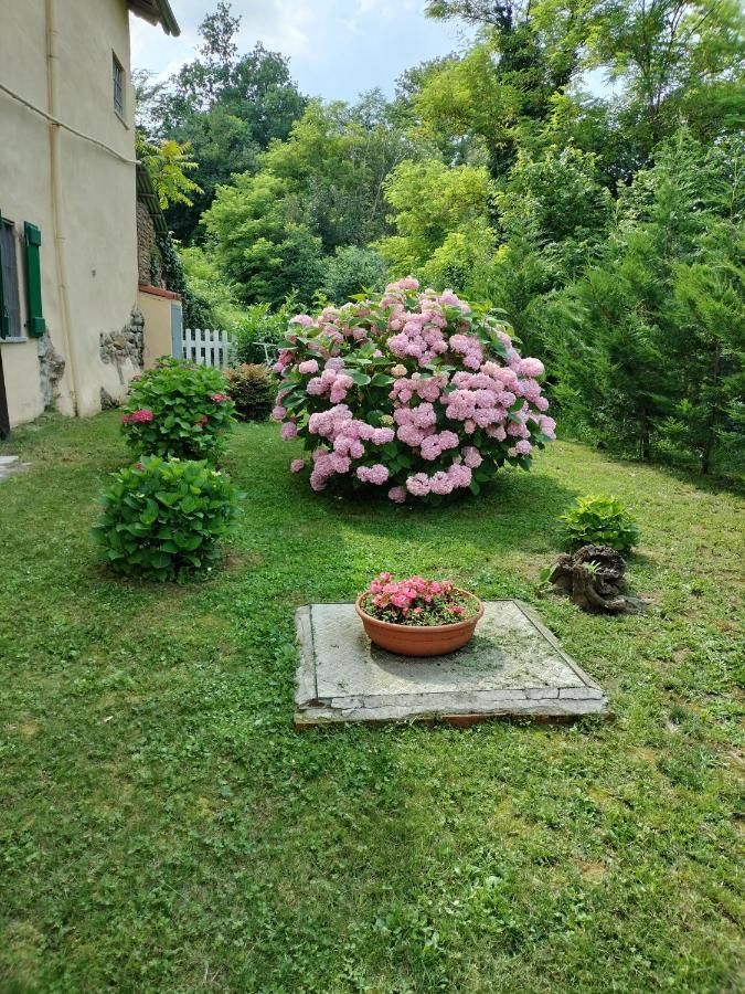 Casa Relax Immersa Nel Verde Della Natura Casalborgone Zewnętrze zdjęcie