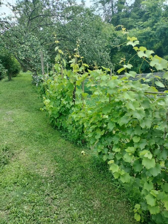 Casa Relax Immersa Nel Verde Della Natura Casalborgone Zewnętrze zdjęcie
