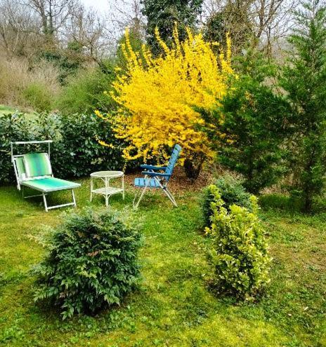 Casa Relax Immersa Nel Verde Della Natura Casalborgone Zewnętrze zdjęcie